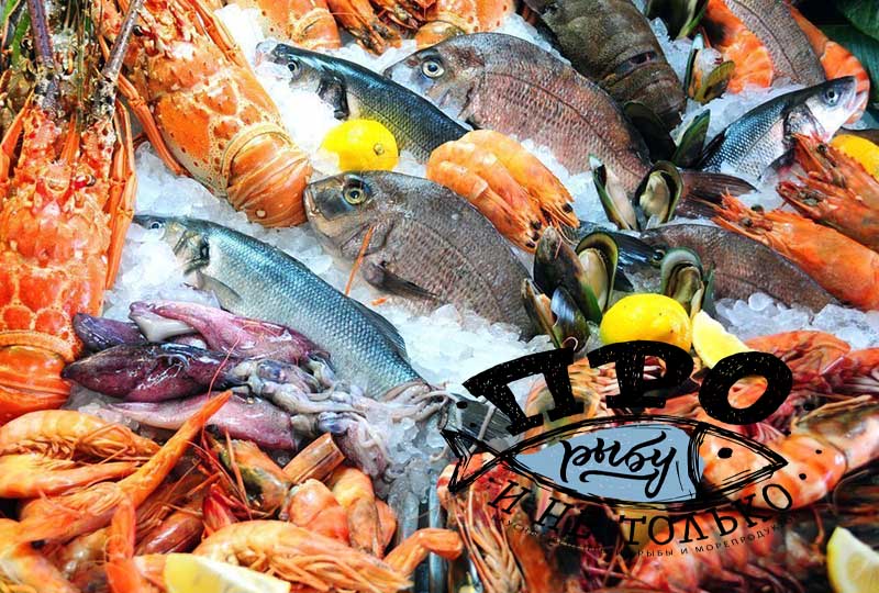 Кулинарные рецепты из рыбы и морепродуктов